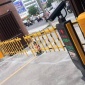 淄博道闸|栅栏道闸|电动起落杆|学校门禁系统